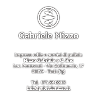 Gabriele Nizzo